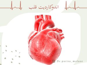 اندوکاردیت-قلب