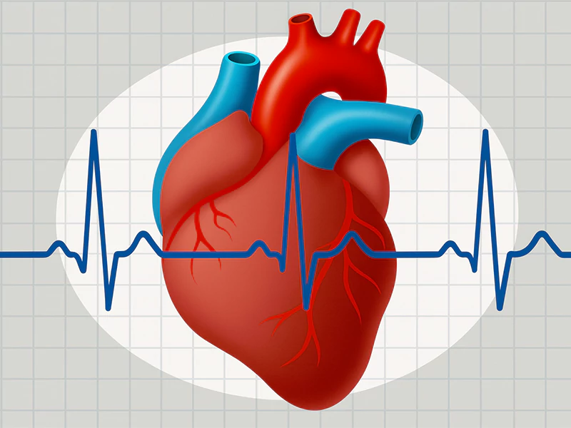 درمان آریتمی قلبی در زنان