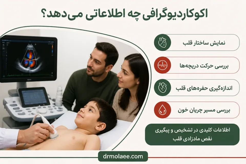 نمای توضیحی درباره اکوکاردیوگرافی چه اطلاعاتی میدهد